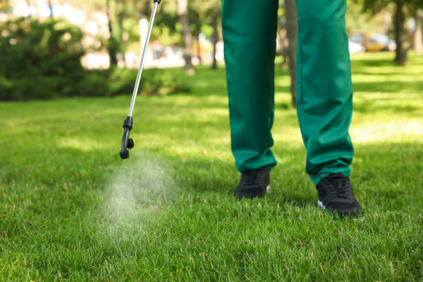 Best Residential Pest Control  in Gonzalez, FL