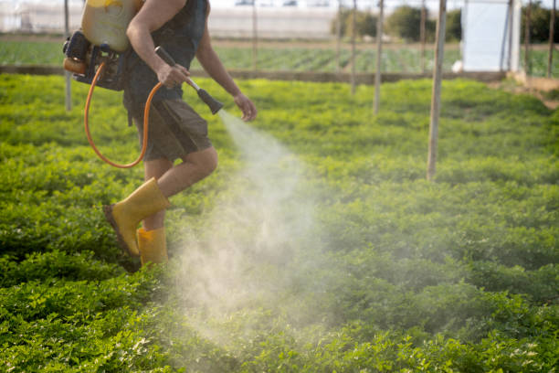Best Local Pest Control Services  in Gonzalez, FL
