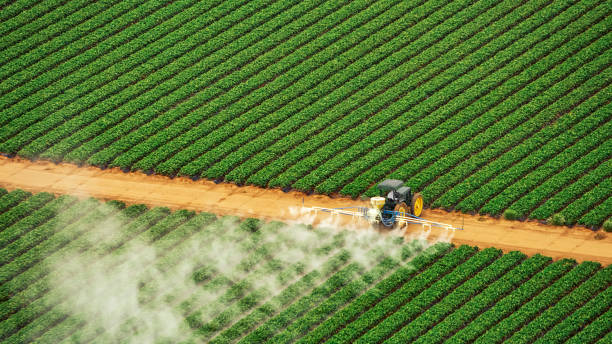 Best Mosquito Control Services  in Gonzalez, FL