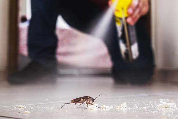 Best Cockroach Control Services  in Gonzalez, FL