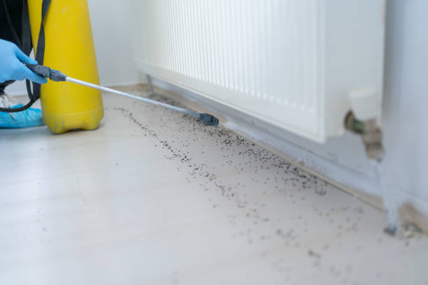 Best Best Pest Control Companies  in Gonzalez, FL